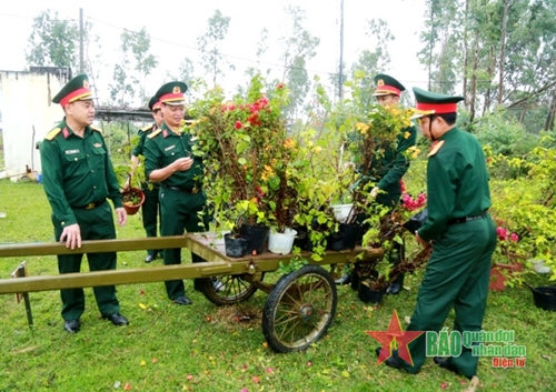 Bộ Tham mưu Quân khu 5: Trồng cây cho núi Phước Tường xanh thắm
